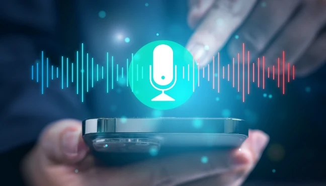 Voice SMS Service 02